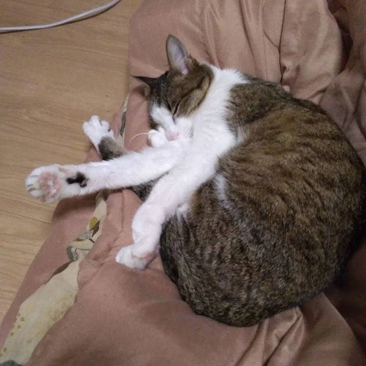 Cdb42f5f a0db 4e58 aece 92bdff2a3b4f 1520941510623