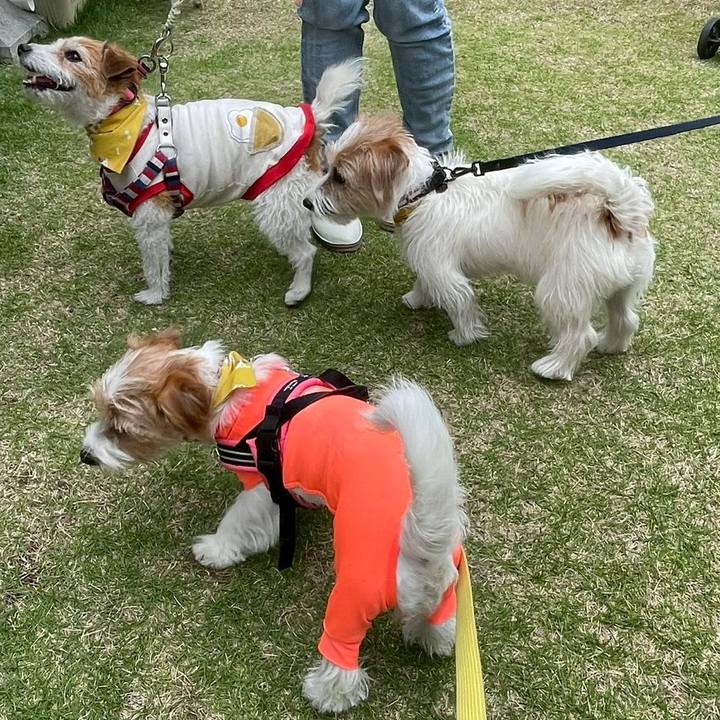 Cdb43e87 1fe4 4c70 8268 ebc7a567d916 1747438494237