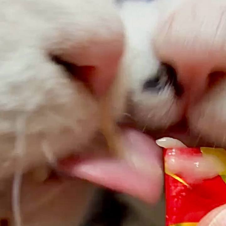 Cdb471f7 1751 47ba 930f ceac0df02732 1772805186617