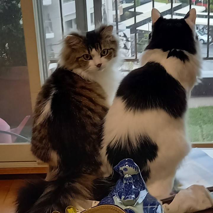 Cdb47fa7 3d0c 4a9c 886d 788a7736599d 1649057771383