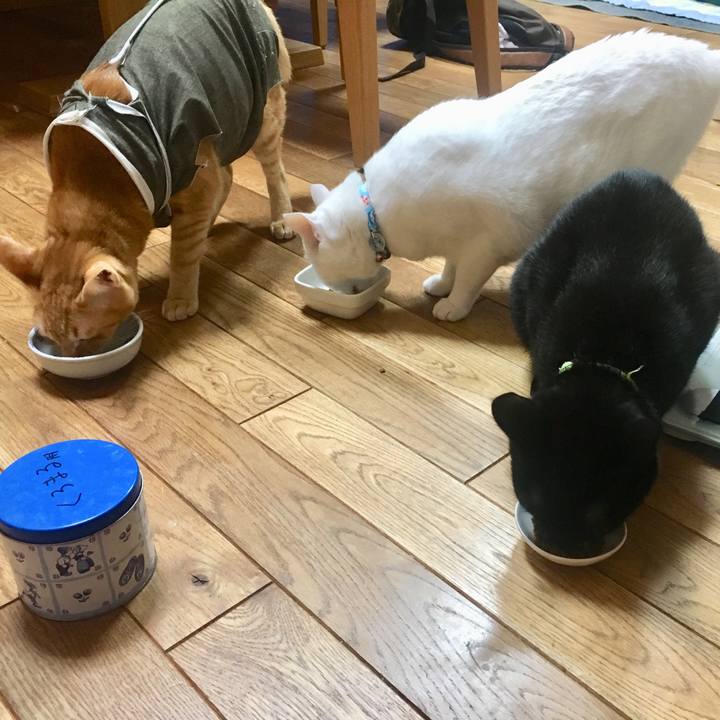 Cdb49625 74d4 40f0 bb36 644b0560c460 1535028621971