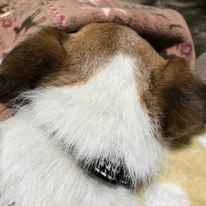 Cdb4d256 9274 4cb6 bd58 0d5d53b976a4 1614034804070