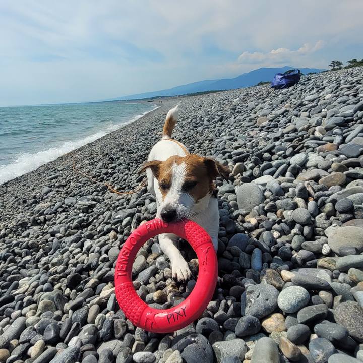 Cdb500c4 2813 4fad 95ad 0a444cbd4010 1689683020265