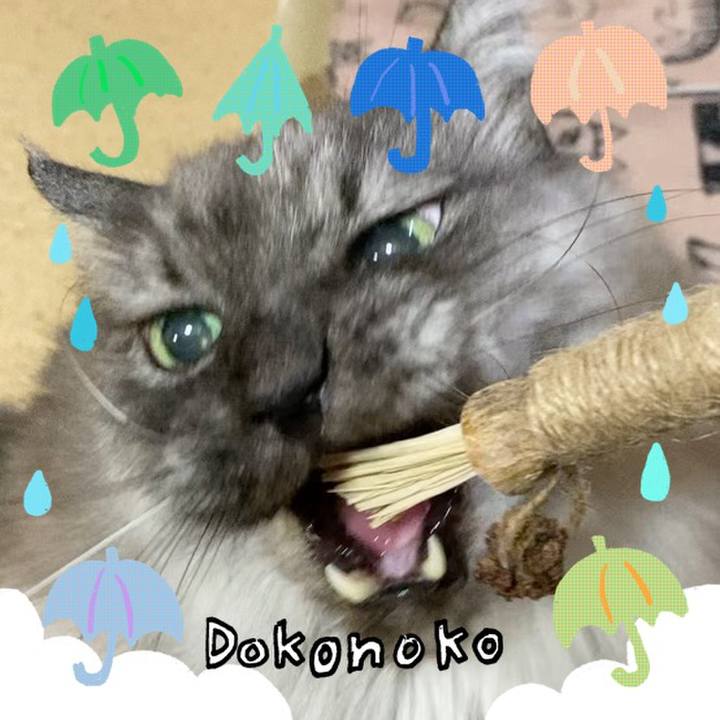 Cdb536db 438c 4e15 8ce6 f0c6fa9a2d4e 1718234294912