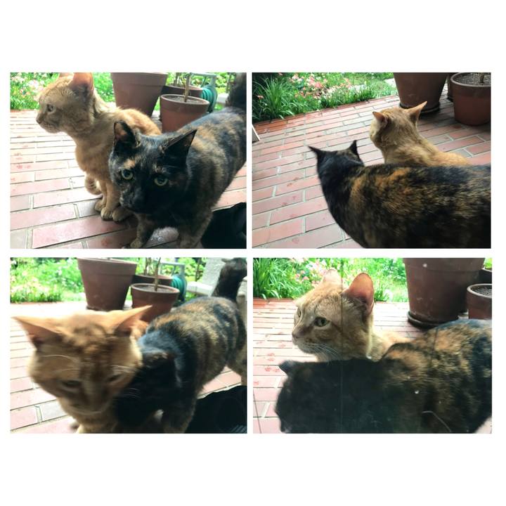 Cdb544a8 165b 4150 87d8 ee44cf311b59 1652789100040