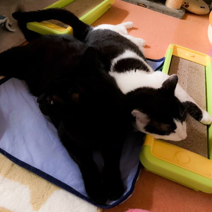 Cdb54dc0 babe 4ac1 9128 2268e9bbeeef 1563328096361