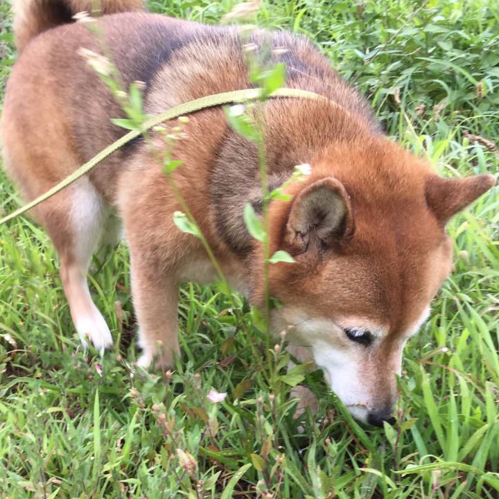 Cdb55225 4dc7 4365 8ed4 52d58b3197ff 1598931867994