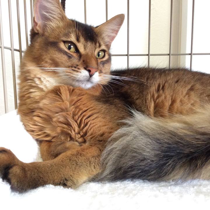 Cdb58d1c 9a97 4ee7 9092 c777699554ef 1567139293377