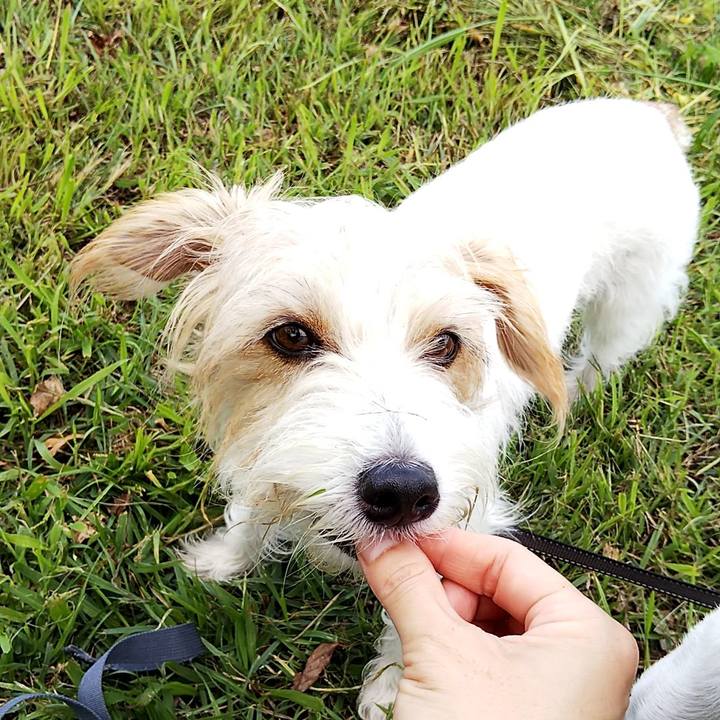 Cdb5a001 6ff2 4fec b3be a4422a3ad06a 1537082495416