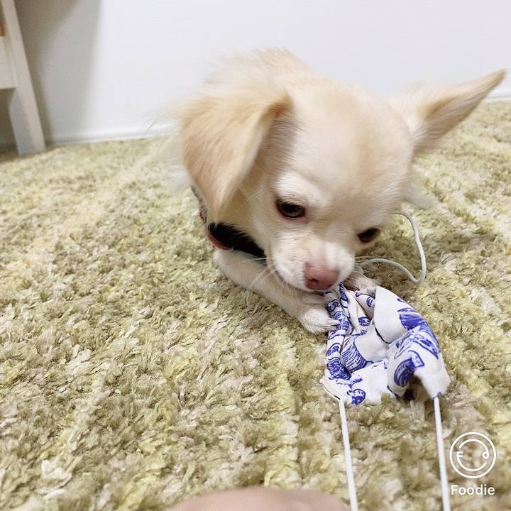 Cdb5db46 8da3 4226 b202 5b27ab306b29 1603681135755