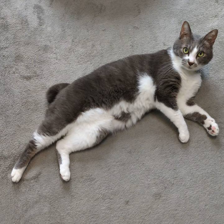 Cdb5df96 bd62 4acf 8aee 0f0a8befab48 1759285045686