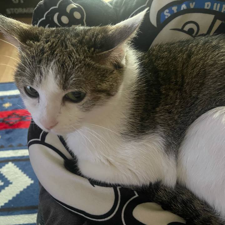 Cdb5e4f7 dab8 4237 a2c8 695315af3635 1624352304237