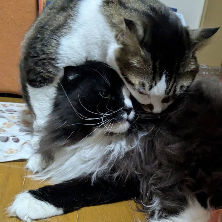 Cdb5fdd8 2685 4a6c bf8e 3470631d5f16 1766804713162