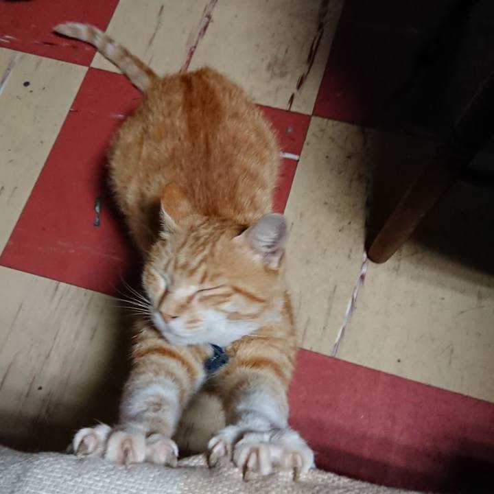 Cdb61509 b8e3 4891 9bb1 36380e4114c5 1561405048945