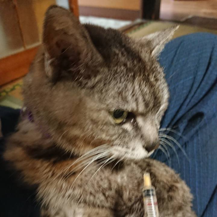 Cdb6262e ac05 4f4f 9565 76fa85445ab5 1594419449813