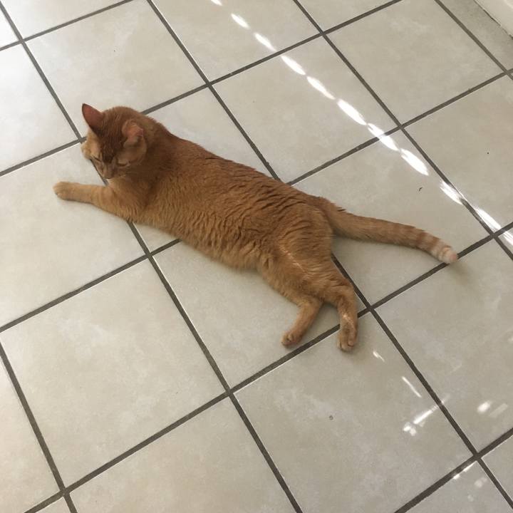 Cdb65dc9 f973 4bd0 b28c 41eb95702228 1633872647509