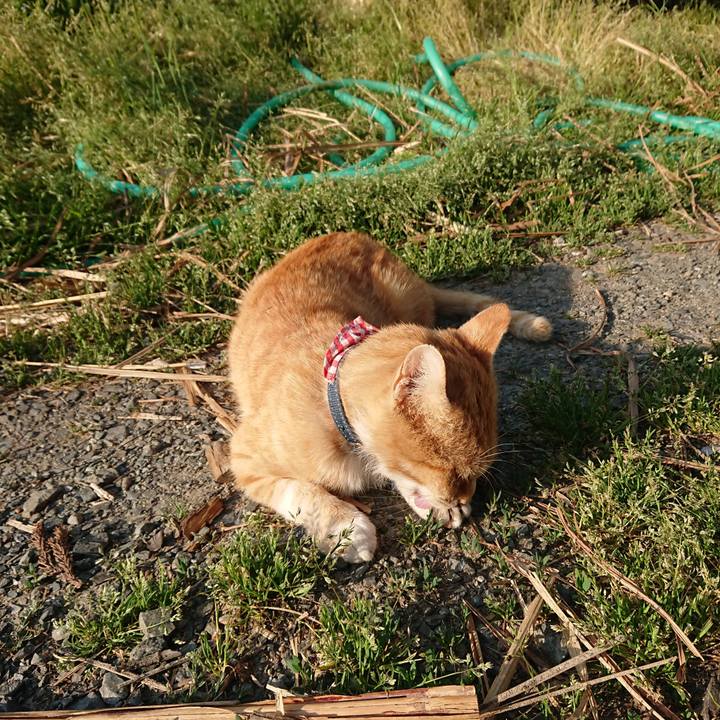 Cdb65fff 1ea8 4590 984f e970ba8ab0e7 1558661736258