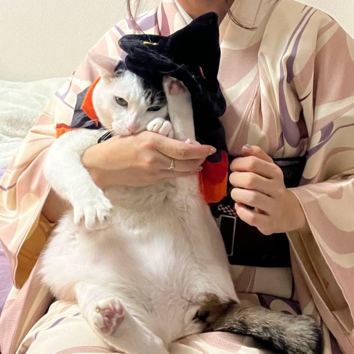 Cdb667bc 9d23 4e1c ba8a 581c6cae8bb3 1667205897485