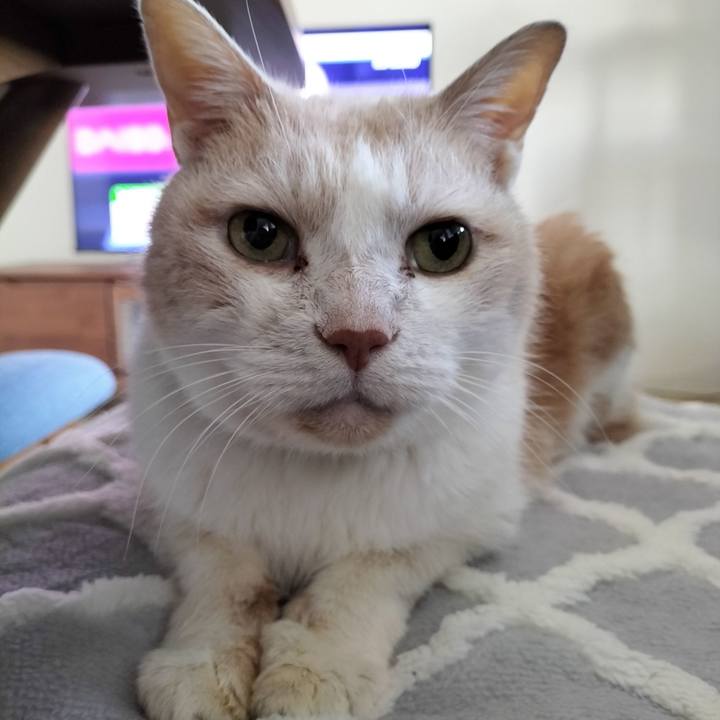 Cdb68087 9a37 4187 8492 cbfdc62a8783 1698877305217