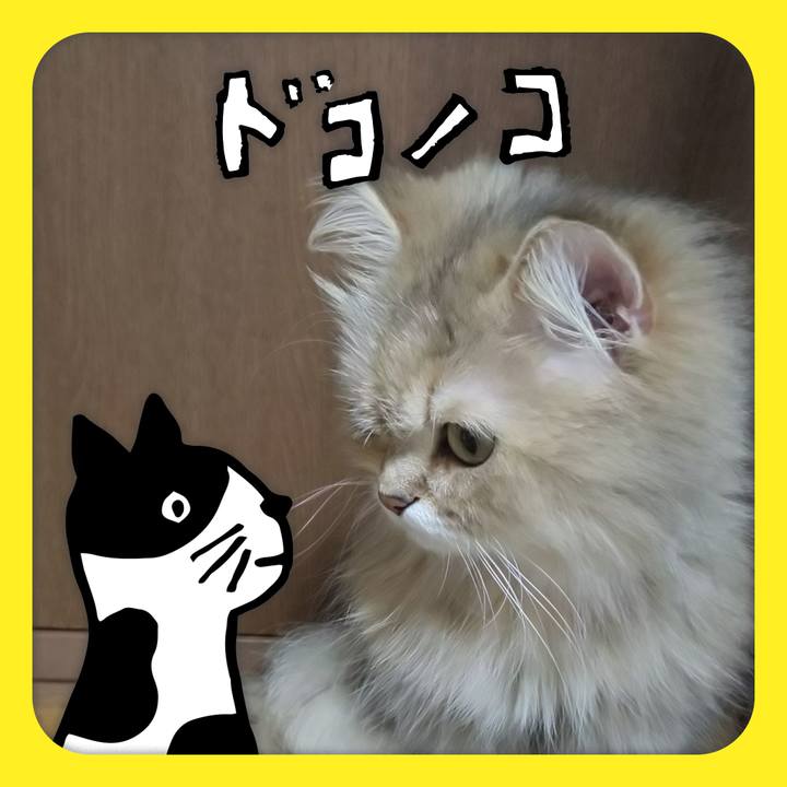 Cdb69758 f6e7 449f 8197 75be547e30c0 1622860280604