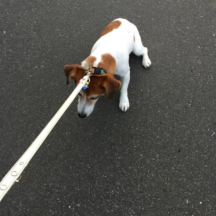 Cdb698ad 5680 4dce a33d 44a1c0cd0b0b 1532240327175