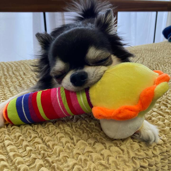 Cdb6aba2 ad83 4a0b b279 6935cfd988a7 1656218031293