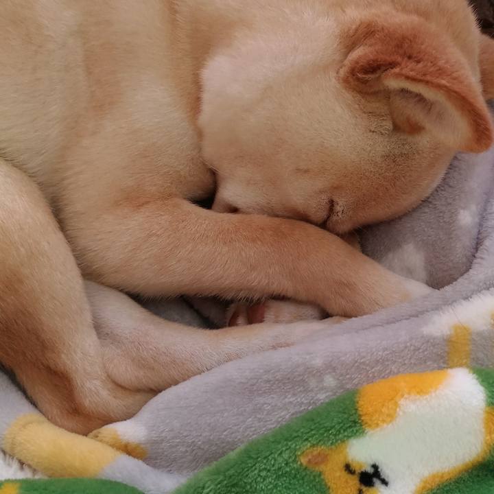 Cdb6ad2f 3067 4c86 a0bb 92d562476ad1 1516849304854