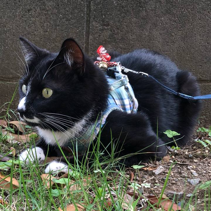 Cdb6b665 ea1e 4d85 a299 6685ac2f0757 1559618807761