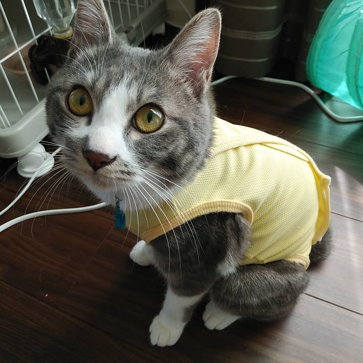 Cdb70735 9396 4f80 8aaa 2c1eff92e328 1584585859871