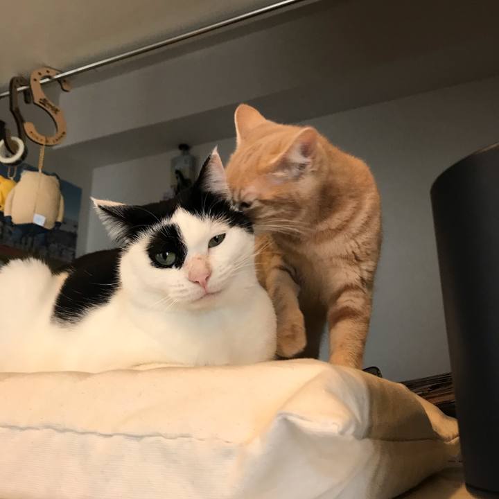 Cdb736d4 69c0 4f83 8eb7 965f3d7ceec2 1549759602253