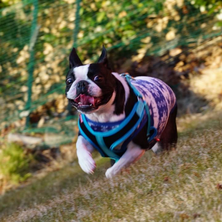 Cdb74e74 3ee6 48c2 871f 25a7f5dfc715 1546608758599