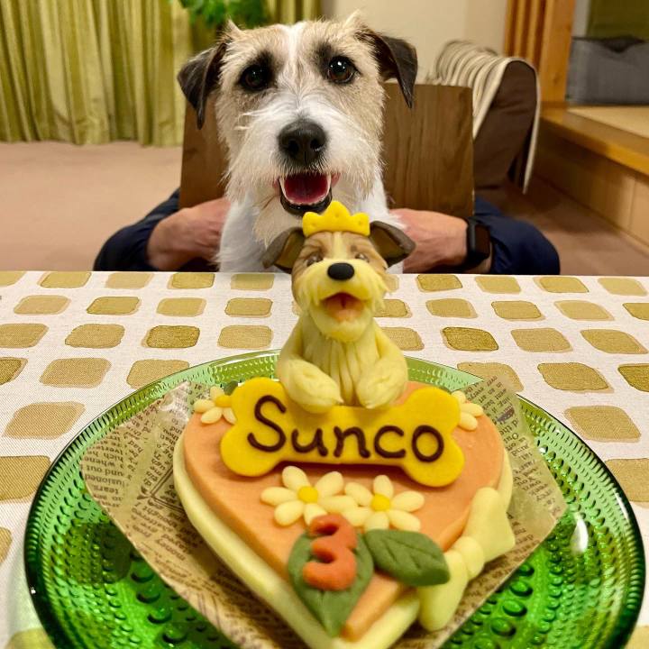 Cdb74f93 663e 4af4 aeec b52a11908a3e 1646306108755