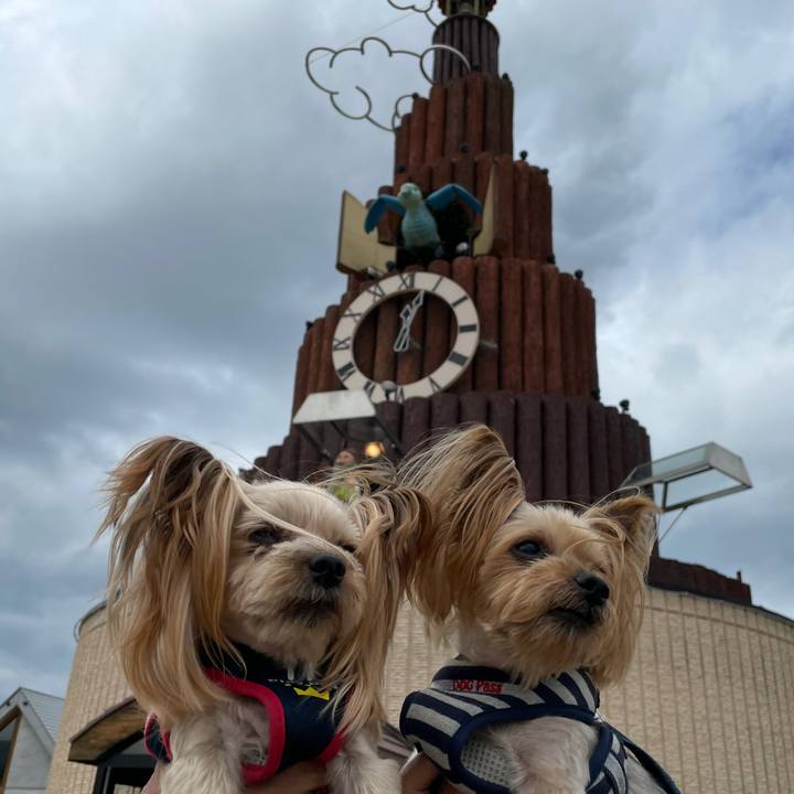 Cdb76935 2d85 44e0 af95 6e2ac3d7bab8 1628843474452