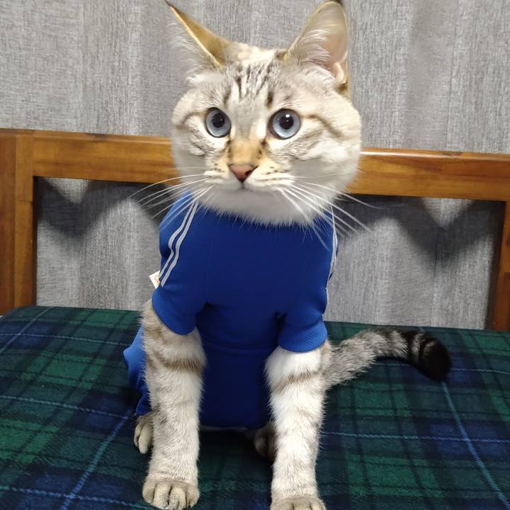 Cdb7d52c e39a 4992 918e e47fb51f1754 1674260268042