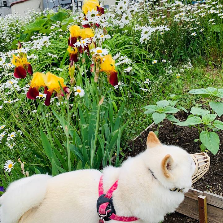 Cdb7dbba b0af 43fc b1fe d784f1e4d51c 1592773455782