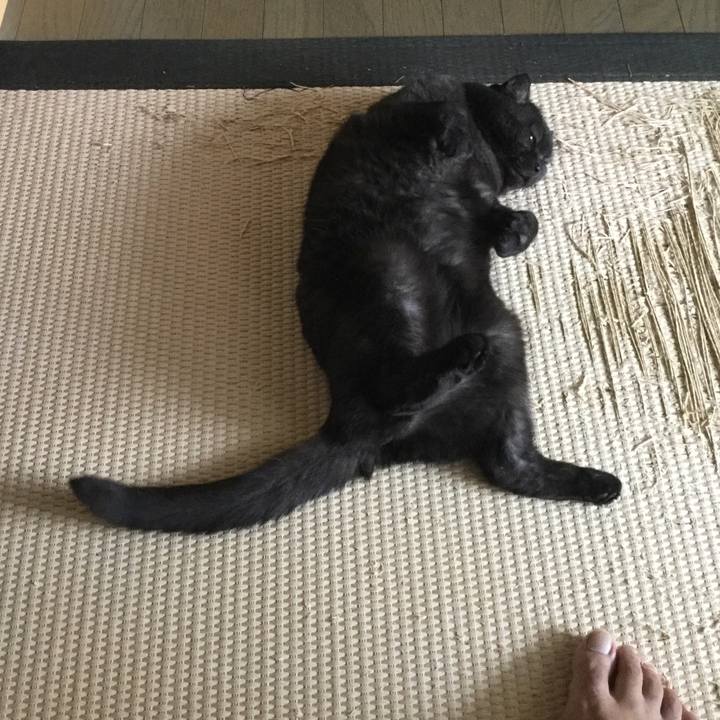 Cdb7f3db a3c3 42a8 aa37 76c91a75448d 1508031856583