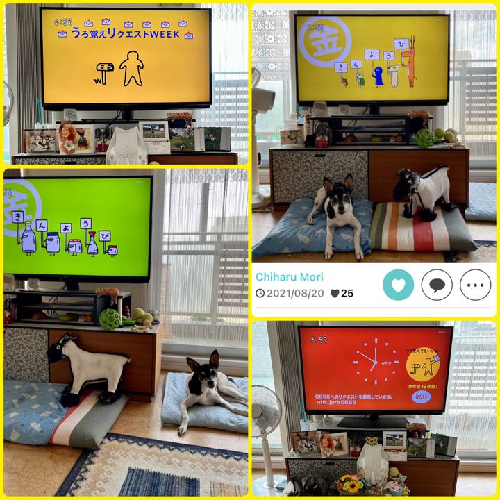 Cdb82330 074b 4e45 8b93 ca276db16f83 1661465593283