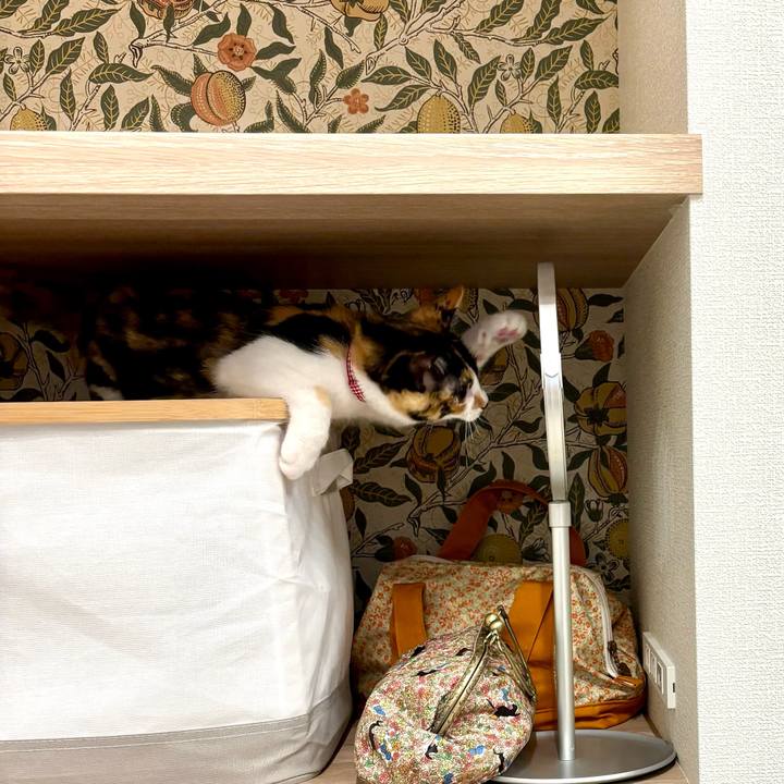 Cdb877d1 74e3 4fdd bb1d 0bcb0967b952 1756734348731