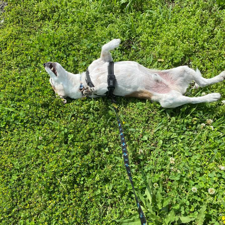 Cdb8bffd a32f 410a 9c52 bca61e66b734 1620545884850