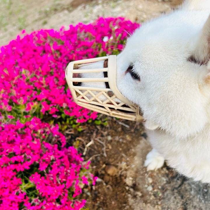 Cdb8f212 cc34 4028 ac7b 1d99146fe207 1715654618761