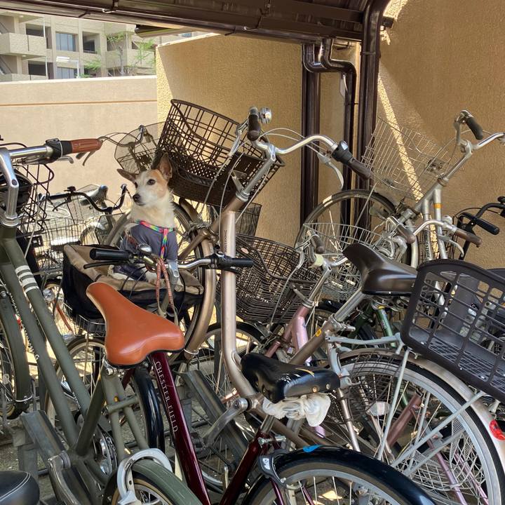 Cdb8fec4 8cc1 4b10 ac0d e7a6fc54edf5 1747351273610