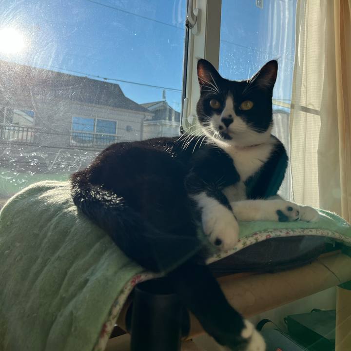 Cdb9040a ad10 4358 ba71 2ed8a19cf6ec 1640602051099