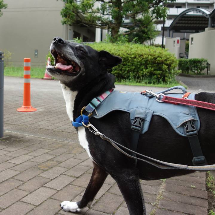 Cdb912b6 1584 4b67 bdce a0a5b9ef479f 1749860969523