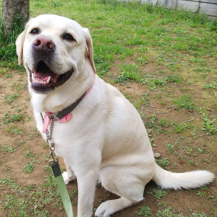 Cdb91525 08fd 4442 8fe7 7747024823c5 1523411180392