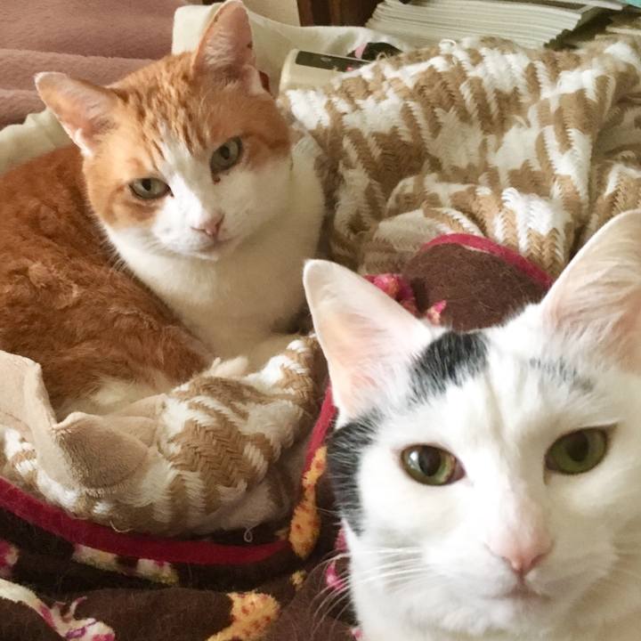 Cdb95821 dd83 4f8b a597 3aa129fddbc2 1555883445992