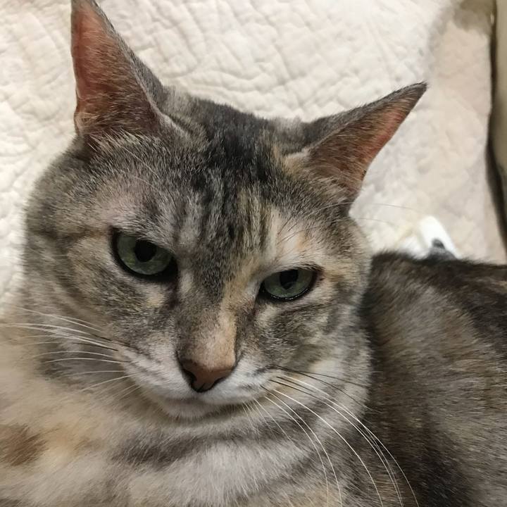 Cdb95944 bbe3 42da 8dd9 1be519188431 1607254697430