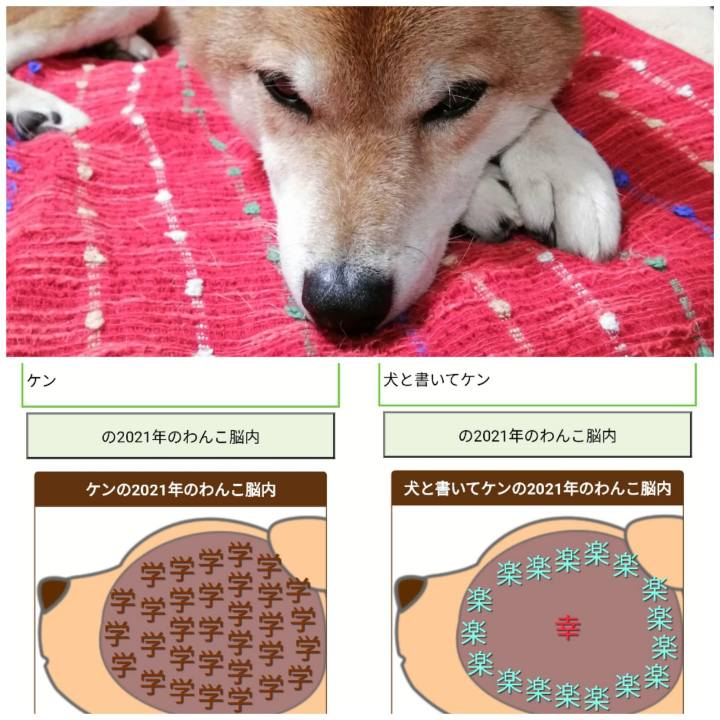 Cdb962f5 6a75 434d bb08 46be5cf6af8b 1626518605226