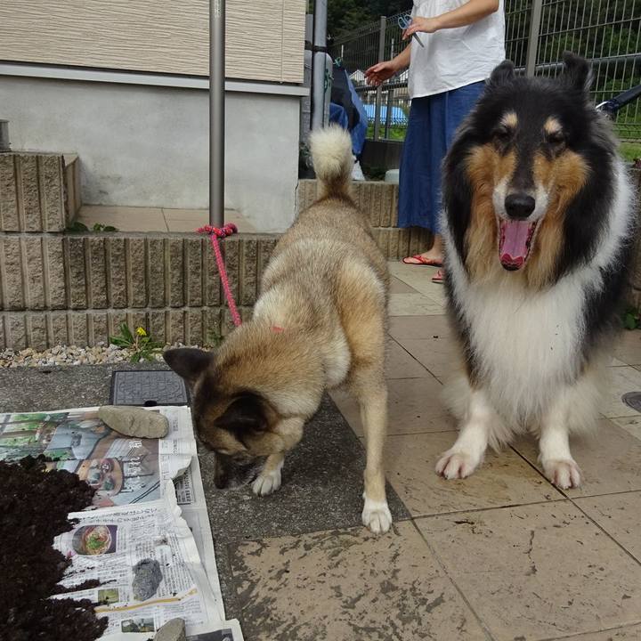 Cdb98768 c5fe 412d b449 6f70538a409b 1569766982400