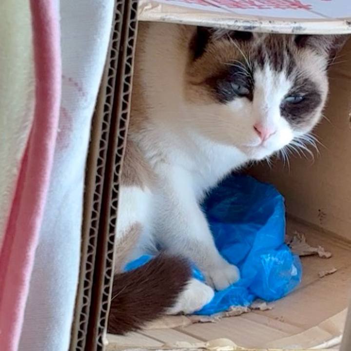 Cdb98980 9b24 4c71 a57c 84c704b972fc 1767177761304