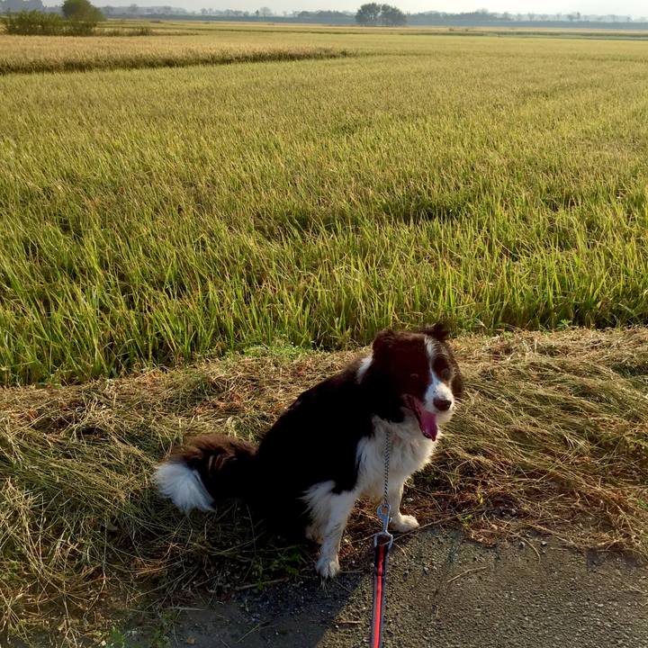 Cdb9b7c6 d2db 4246 ab44 b076cd1b6075 1570577027018